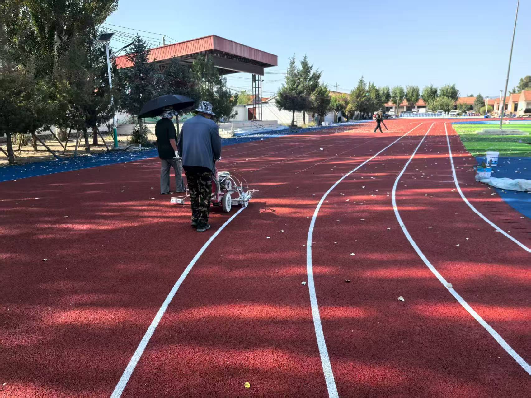 武威市EPDM塑胶跑道自结纹塑胶跑道 - 推荐